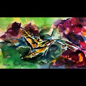 Mere Nature 4.5'' x 7''