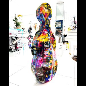 Duaiv Cello Case, 01