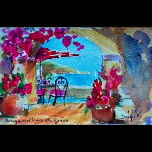 Bougainviliers de Grece 4.5'' x 7''