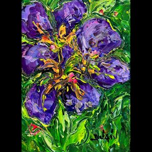 Iris en fleurs 10''x8''
